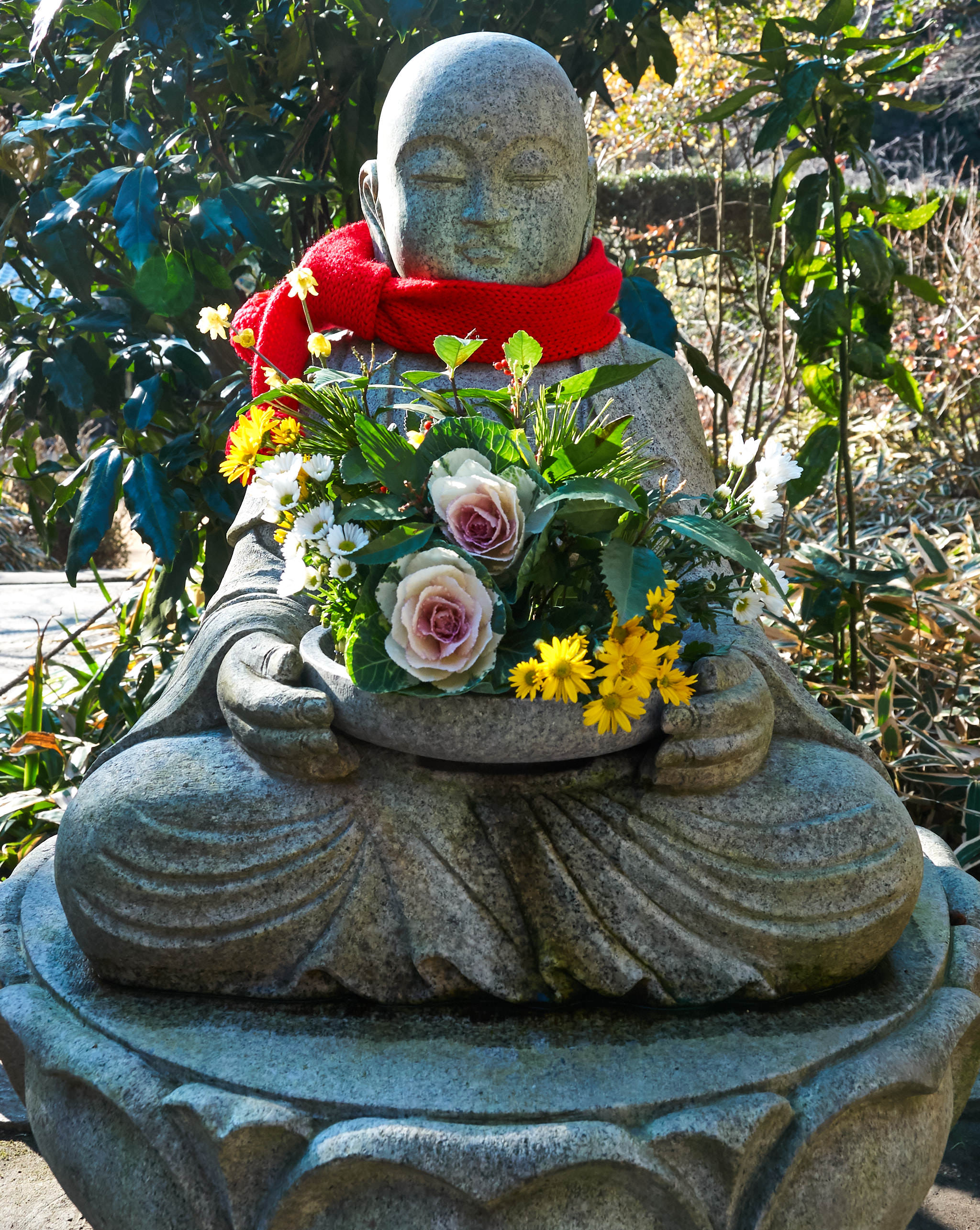 2009D02P024